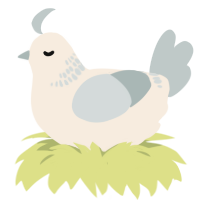 A cream and silver chicken with a neck-band pattern