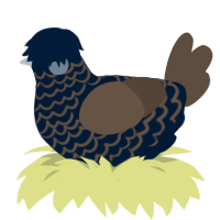 Toopy Toobert, a tumblr and bark chicken with a lace pattern