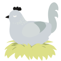 (unnamed), a mist and silver chicken with a neck-speckle pattern