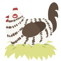 Peppermint Bark, a white and bark chicken with a bar pattern