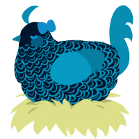 Akana, a tumblr and cerulean chicken with a double-lace pattern