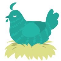 Turq, a turquoise chicken with a bar pattern