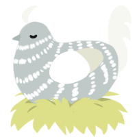 (unnamed), a silver and white chicken with a bar pattern