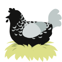 A black and silver chicken with a half-lace pattern