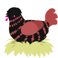 Ganache, a black and red chicken with a bar pattern