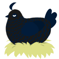(unnamed), a sable and tumblr chicken with a lace pattern