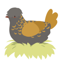 Smoke n Mirrors, a grey and gold chicken with a half-lace pattern