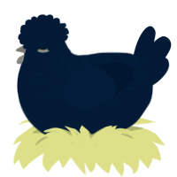 (unnamed), a tumblr chicken with a half-lace pattern