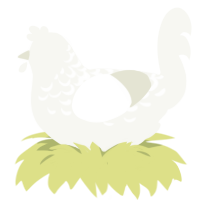 Moonlight, a white chicken with a half-lace pattern