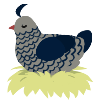 Ashes to Ashes, a ash and tumblr chicken with a lace pattern