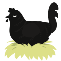 smi, a black and sable chicken with a half-bar pattern