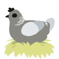 A ash and mist chicken with a neck-band pattern