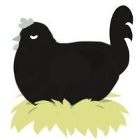 A sable chicken with a bar pattern