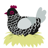 A sable and silver chicken with a lace pattern