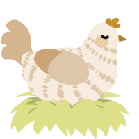 hall, a cream and beige chicken with a bar pattern