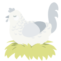 Mist Lace, a white and mist chicken with a half-lace pattern