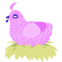 Lolita, a lavender chicken with a lace pattern