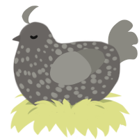 A grey and ash chicken with a speckle pattern