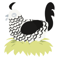 (unnamed), a white and sable chicken with a lace pattern