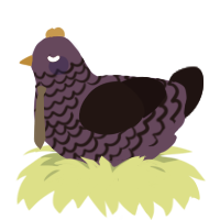 Ophelia Nigmos, a overcast and sable chicken with a lace pattern