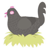 Burnttttt, a grey chicken with a lace pattern
