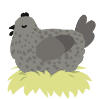 Grayscale, a ash and grey chicken with a speckle pattern