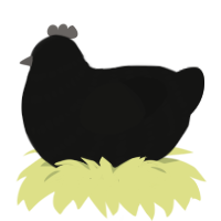 A black chicken with a bar pattern