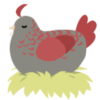 Phoenix, a ash and red chicken with a half-lace pattern