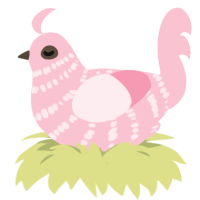 Medical Malpractice, a rose chicken with a bar pattern