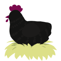 A black and sable chicken with a bar pattern