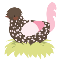 A bark and rose chicken with a speckle pattern