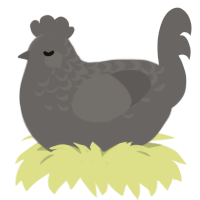 A grey chicken with a half-lace pattern