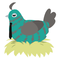 Miku 2, a turquoise and grey chicken with a bar pattern