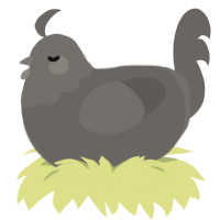 A grey chicken with a head pattern
