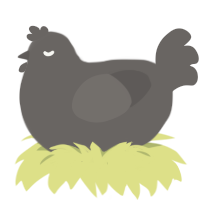 rock, a grey chicken