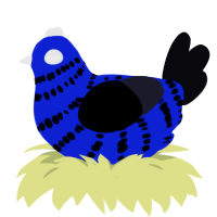 Eunice, a yellow and white chicken with a bar pattern