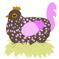 A bark and lavender chicken with a speckle pattern
