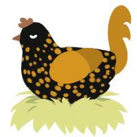 A black and ochre chicken with a speckle pattern