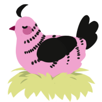 Roxy, a pink and black chicken with a half-bar pattern