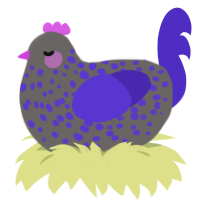smi, a grey and indigo chicken with a speckle pattern