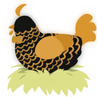 Echo, a black and orange chicken with a lace pattern