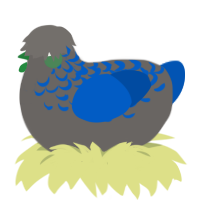 A grey and ultramarine chicken with a half-lace pattern