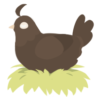 A bark chicken with a head pattern