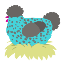 A aqua and grey chicken with a speckle pattern
