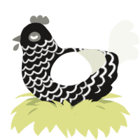 Brad, a sable and white chicken with a lace pattern