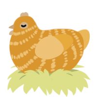 (unnamed), a orange and honey chicken with a bar pattern