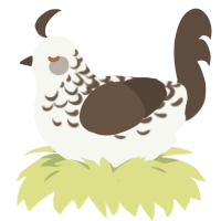 Bark Lace, a white and bark chicken with a half-lace pattern
