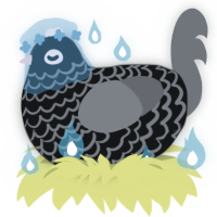 Apathy, a black and grey chicken with a lace pattern