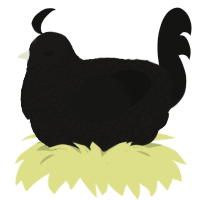 Cephalalgiaphobia, a sable and black chicken with a double-lace pattern