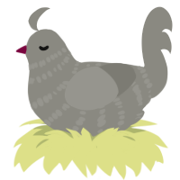 Emo Girl, a ash chicken with a bar pattern